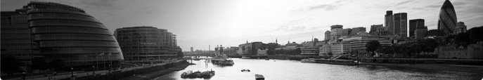 bannerthin02